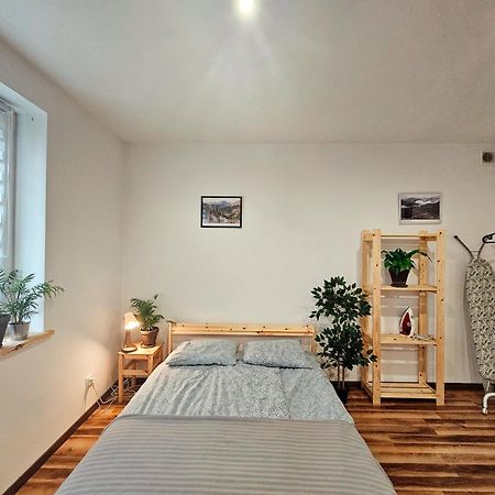 Apartament Apartament 5 Minut Od Parku Zamkowego Pszczyna Zewnętrze zdjęcie