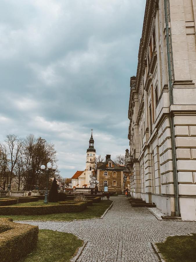 Apartament Apartament 5 Minut Od Parku Zamkowego Pszczyna Zewnętrze zdjęcie