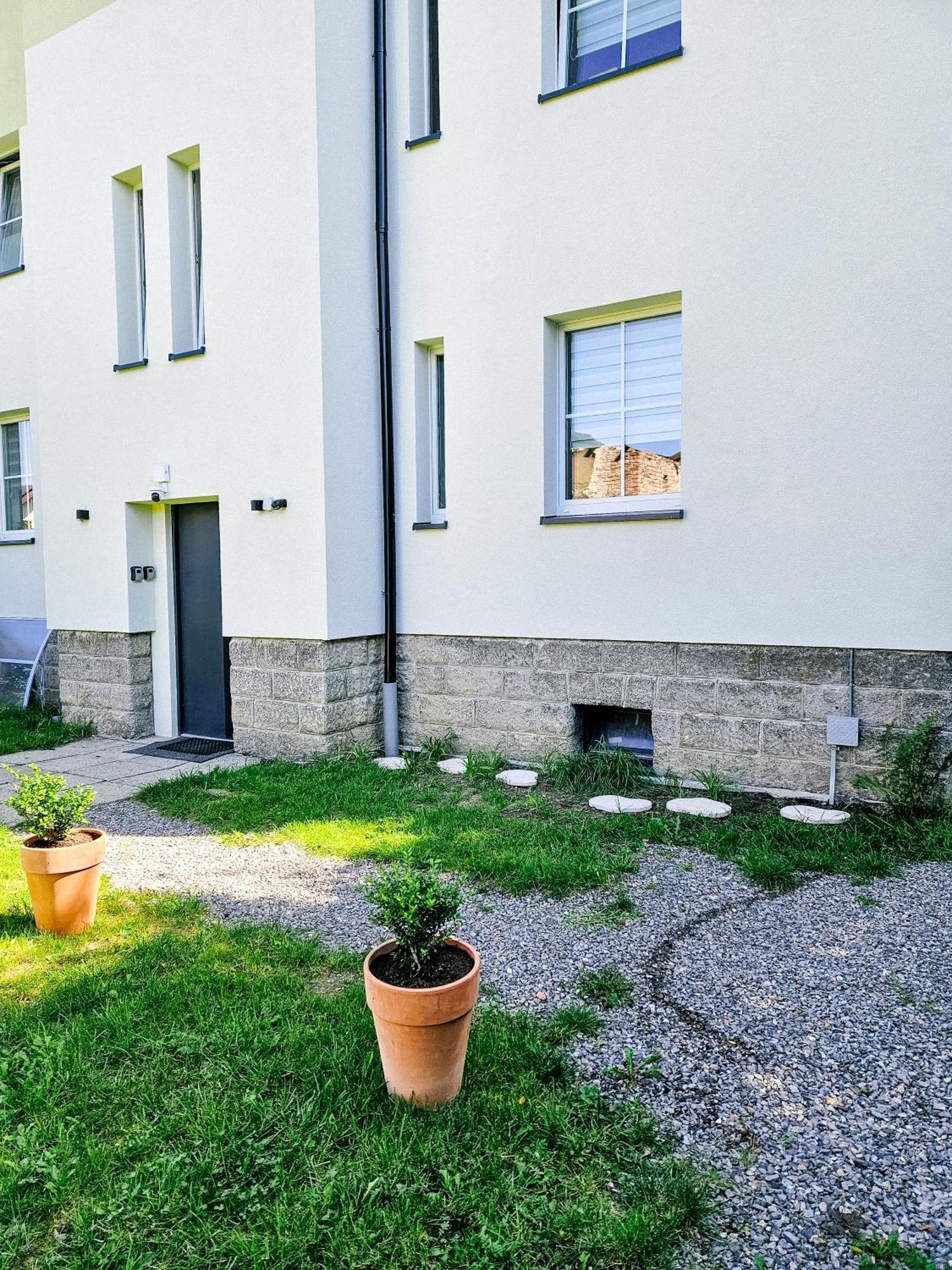 Apartament Apartament 5 Minut Od Parku Zamkowego Pszczyna Zewnętrze zdjęcie